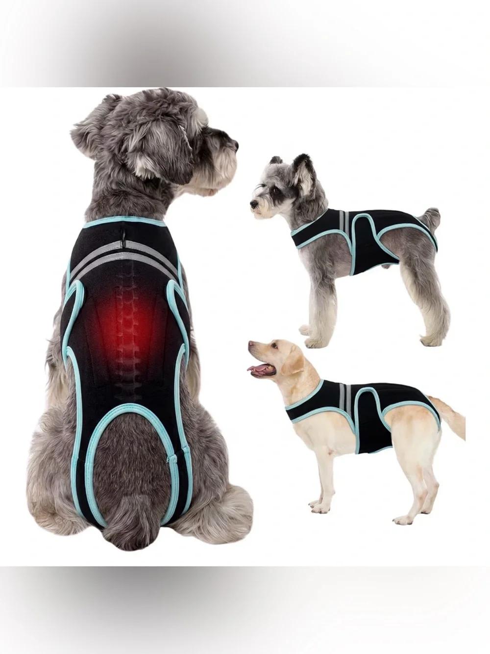 Dog Recovery Suit Back Brace- Black with Light Blue Trim Sz Small